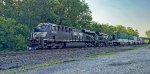 NS 8174 leads 269.